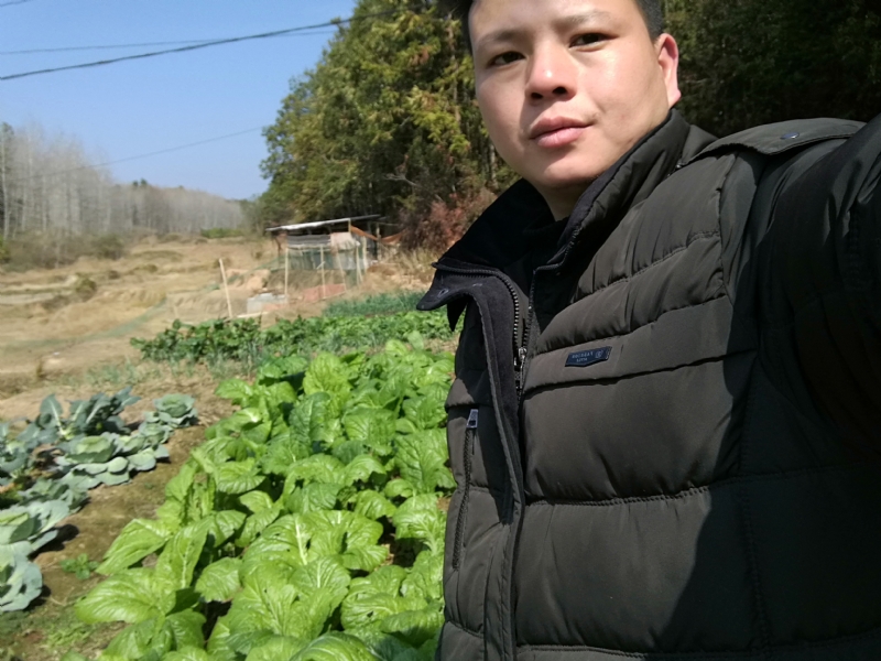 倔强的驴的第一张照片--东山相亲网