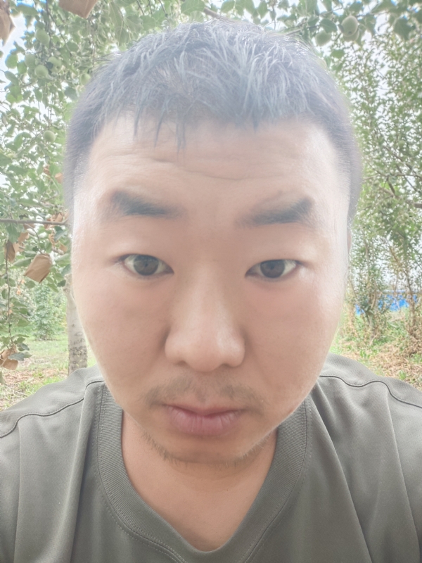 明天的第一张照片--东山相亲网
