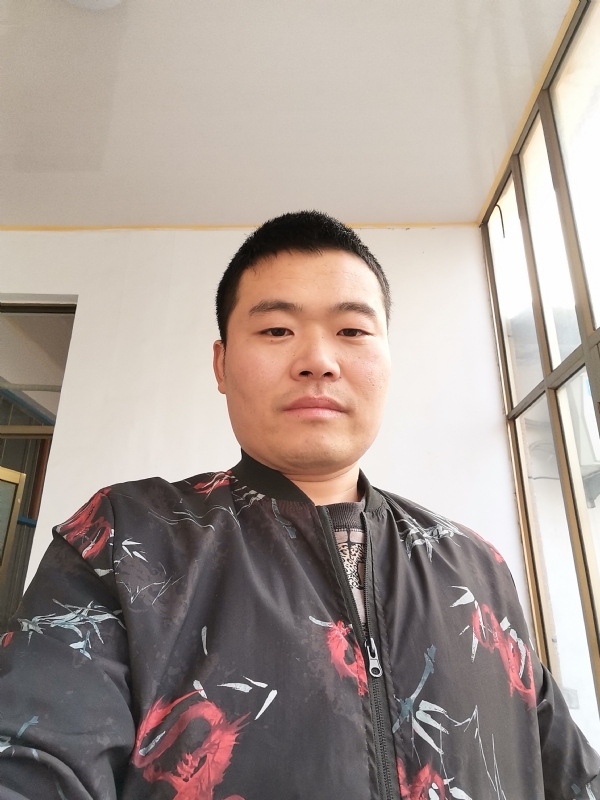 会飞的猪的第一张照片--东山相亲网