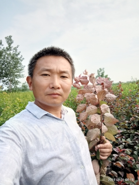 孩子爸的第一张照片--东山相亲网