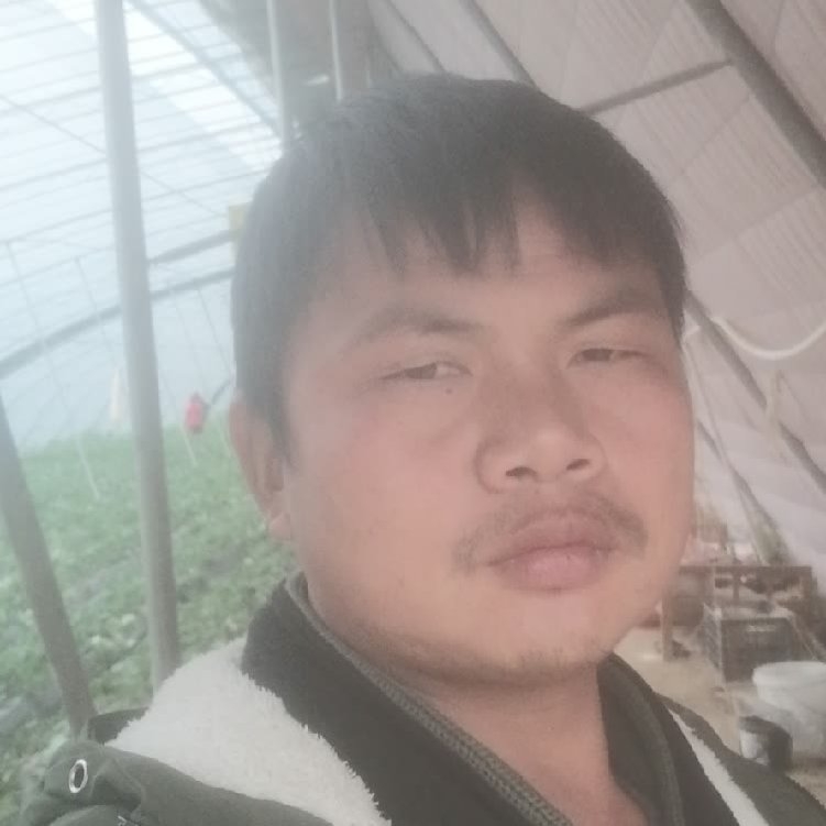 孤狼‘的第一张照片--东山相亲网