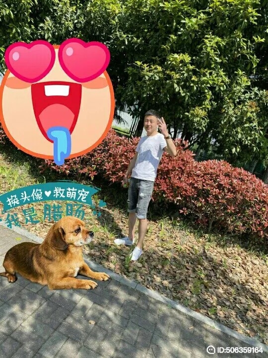 我若不坚强谁替我勇敢的第一张照片--东山相亲网