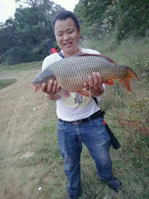 迷路的男人的第一张照片--东山相亲网