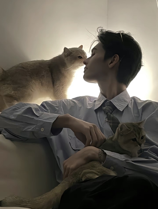 怪猫的第一张照片--东山相亲网