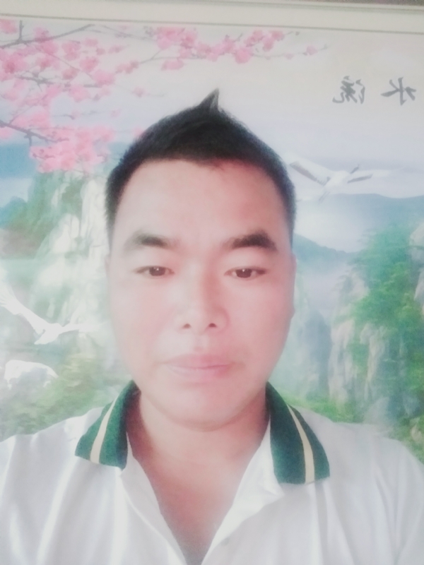 阳光男孩的第二张照片--东山相亲网